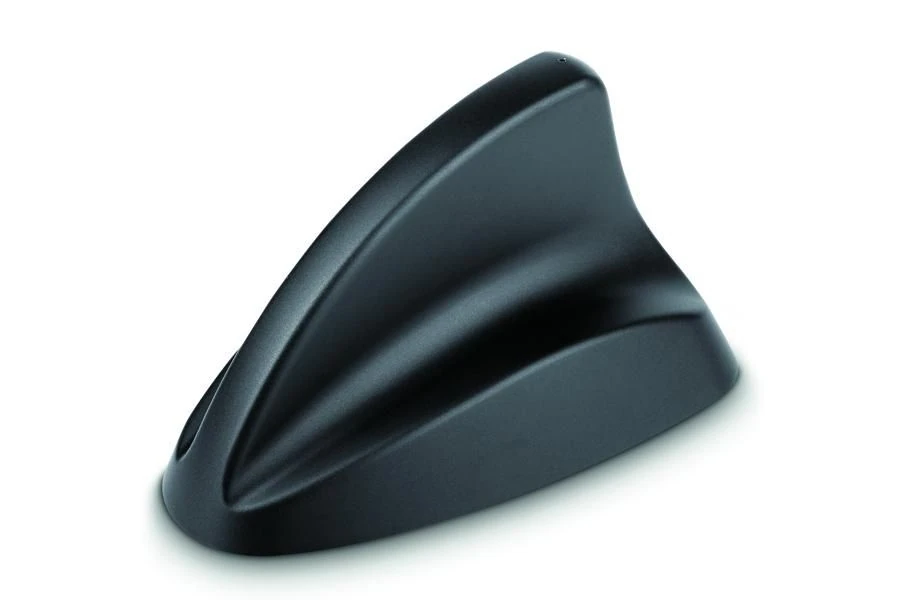 shark